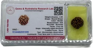 Certified 4 Mukhi (Four Faces) Rudraksha Bead, Real Rudraksh, Throat Chakra, Universal Sun Sign